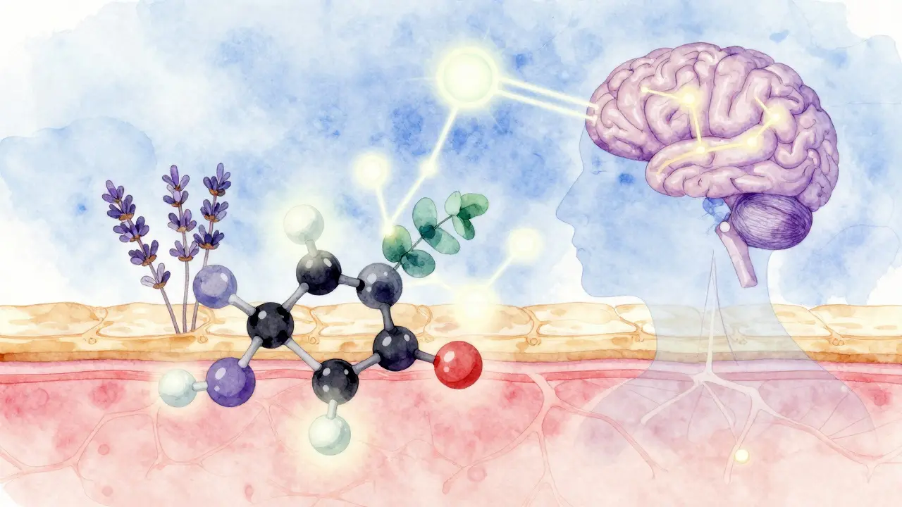 Abstraktní vize vstřebávání esenciálních olejů kůží a jejich vliv na nervový systém.